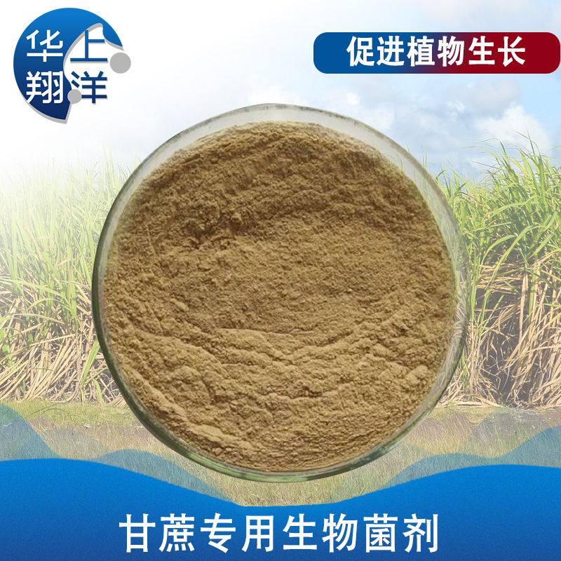 甘蔗专用生物菌剂-Special biological agent for sugar cane