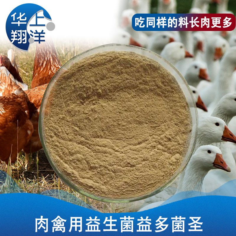 益多·菌圣(禽类专用菌)-Yiduo·Junsheng (special bacteria for poultry)