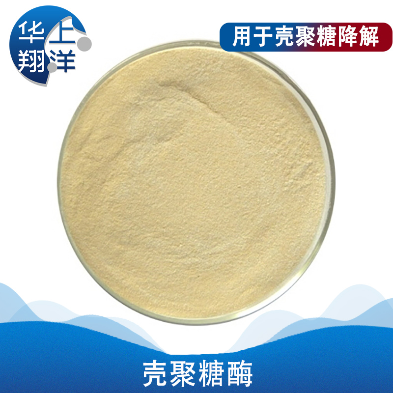 壳聚糖酶-Chitosanase