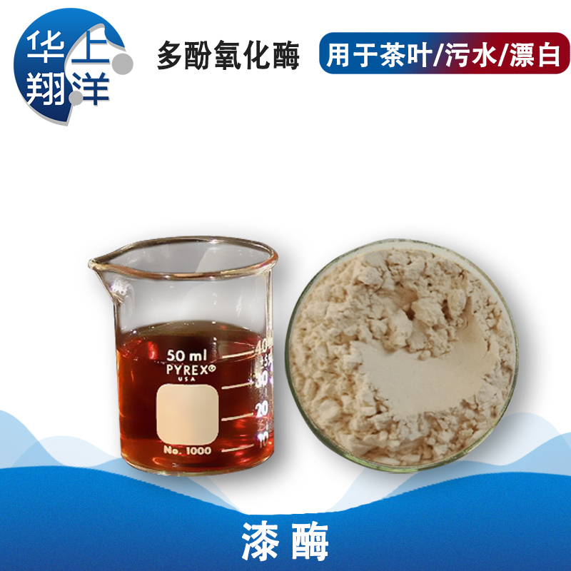 漆酶-多酚氧化酶-Laccase