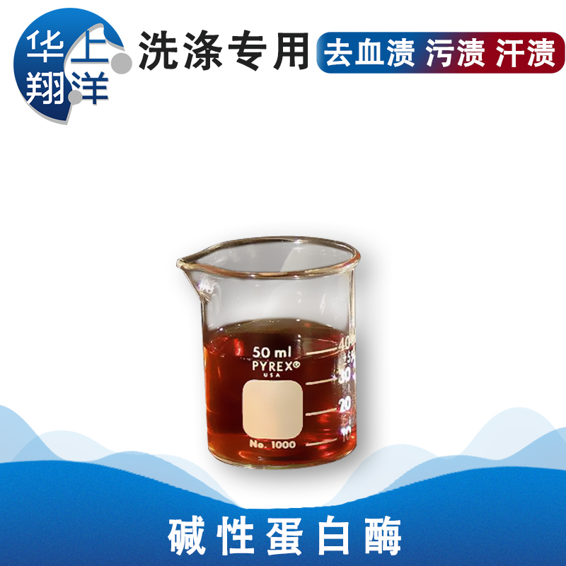 碱性蛋白酶-Alkaline protease