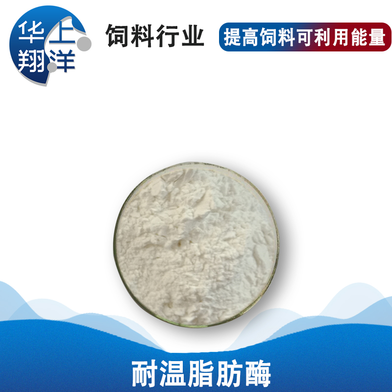 耐温脂肪酶-thermostable lipase