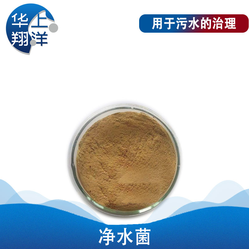 河道改底修复产品-River bottom modification and restoration products
