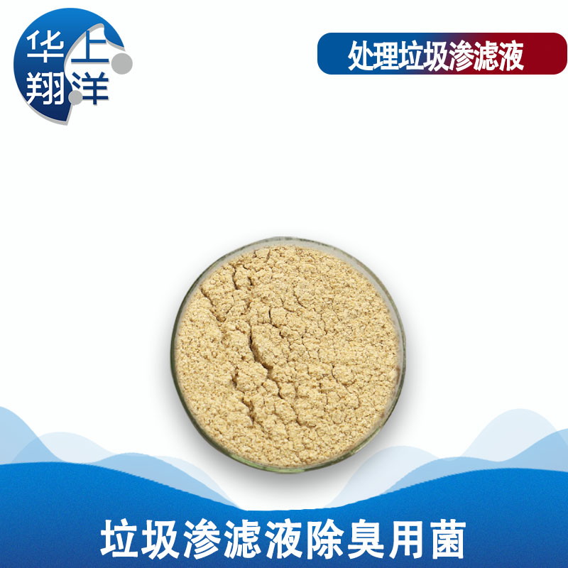 垃圾渗滤液除臭用菌-Special bacteria for deodorization of Landfill Leachate