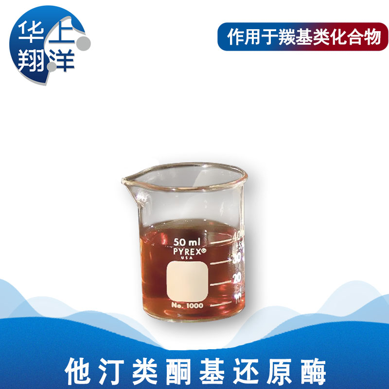 酮基还原酶-Statin ketoreductase