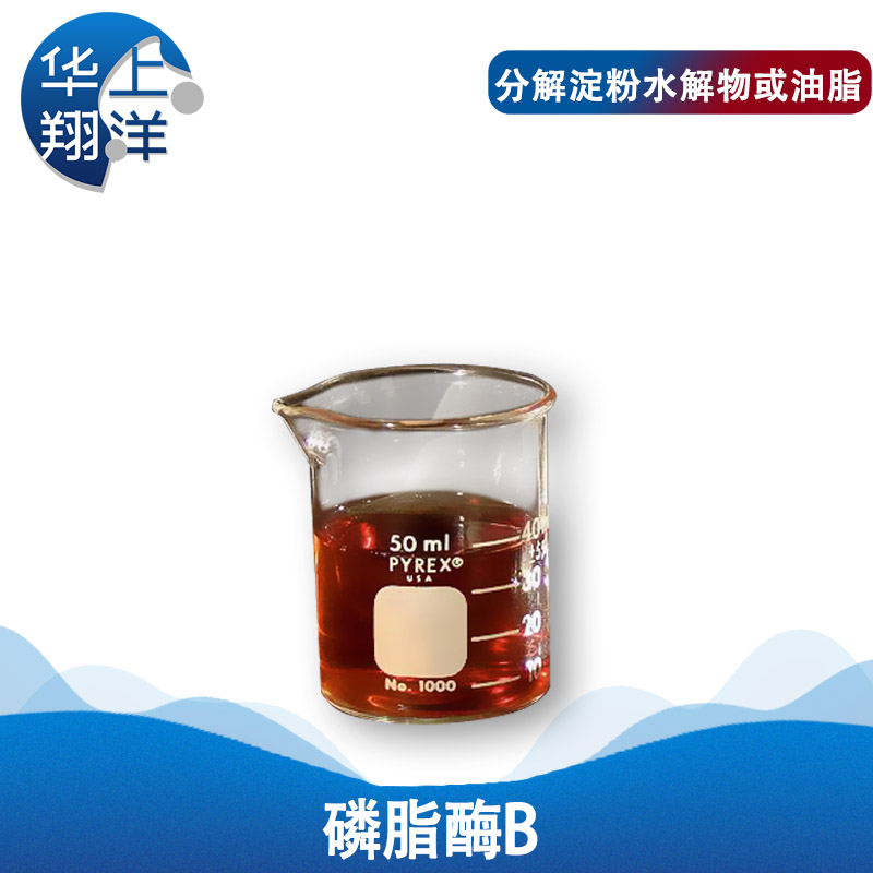 磷脂酶B、phospholipase b