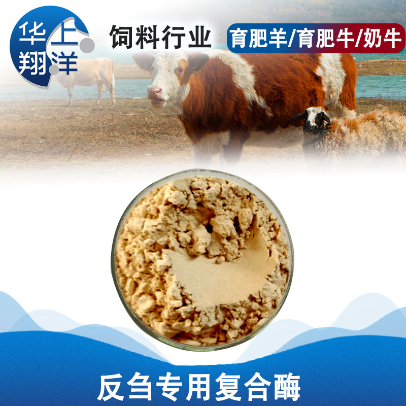 反刍专用复合酶-Special compound enzyme for rumination 