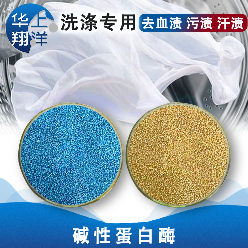 碱性蛋白酶-Alkaline protease