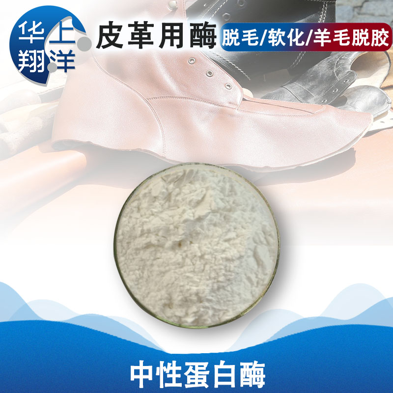 中性蛋白酶-Neutral protease