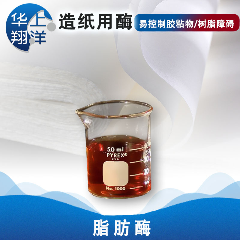 脂肪酶-lipase