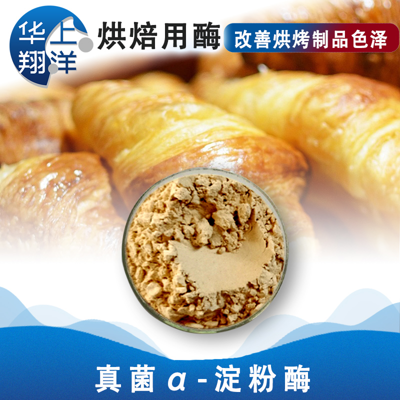 真菌α-淀粉酶-Fungus alpha-amylase